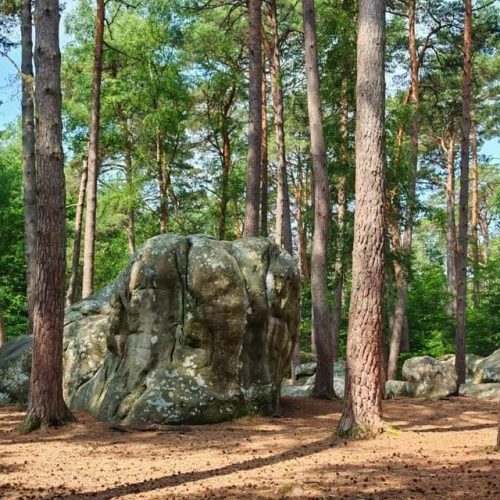 Sortie à Barbizon 2025